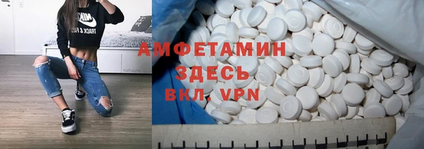 индика Алзамай