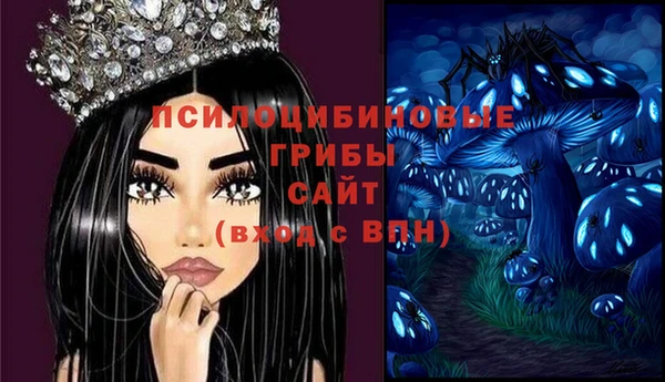 индика Алзамай