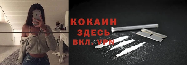 индика Алзамай