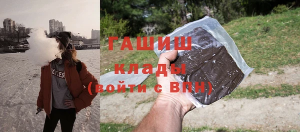 индика Алзамай