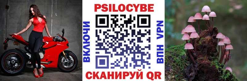 Галлюциногенные грибы GOLDEN TEACHER Йошкар-Ола
